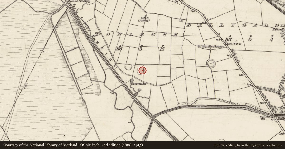 Ordnance Survey six-inch map, 2nd edition (1888–1915) covering the location of Ringfort - rath, Tonlegee, County Galway, with a pin at the register's coordinates