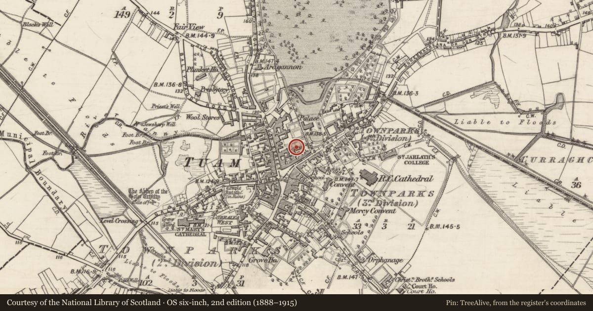 Ordnance Survey six-inch map, 2nd edition (1888–1915) covering the location of Monumental structure, Townparks (1st Division - Tuam), County Galway, with a pin at the register's coordinates