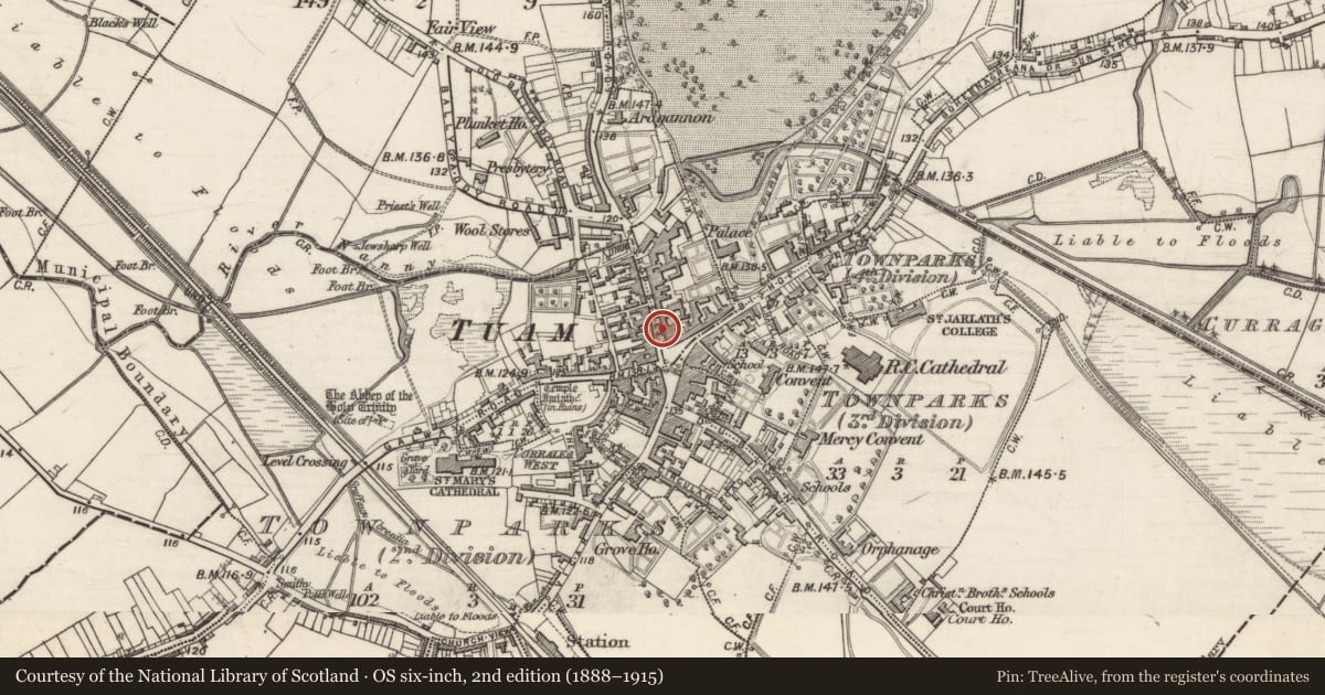Ordnance Survey six-inch map, 2nd edition (1888–1915) covering the location of Castle - unclassified, Townparks (1st Division - Tuam), Townparks (2nd Division - Tuam), County Galway, with a pin at the register's coordinates