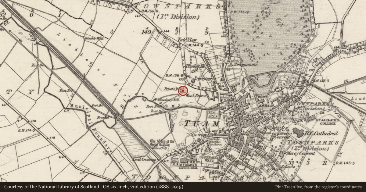 Ordnance Survey six-inch map, 2nd edition (1888–1915) covering the location of Ritual site - holy well, Townparks (1st Division - Tuam), County Galway, with a pin at the register's coordinates