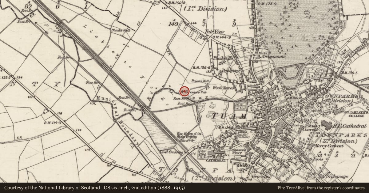Ordnance Survey six-inch map, 2nd edition (1888–1915) covering the location of Well, Townparks (1st Division - Tuam), County Galway, with a pin at the register's coordinates