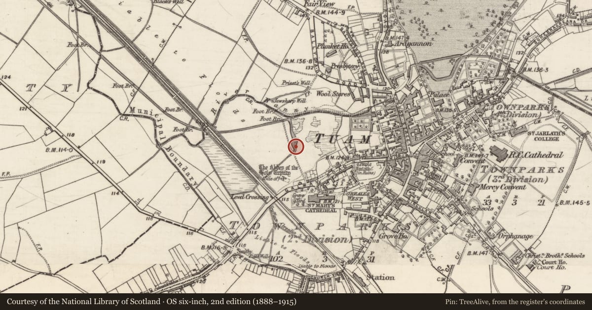 Ordnance Survey six-inch map, 2nd edition (1888–1915) covering the location of Ritual site - holy well, Townparks (2nd Division - Tuam), County Galway, with a pin at the register's coordinates