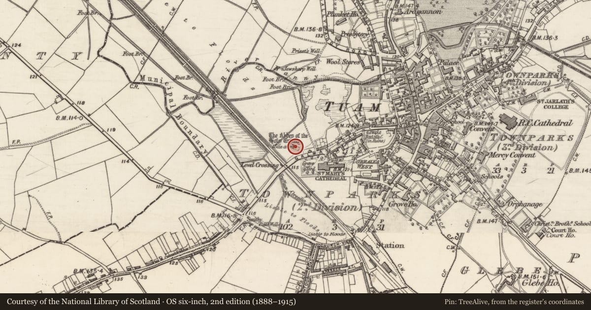 Ordnance Survey six-inch map, 2nd edition (1888–1915) covering the location of Burial, Townparks (2nd Division - Tuam), County Galway, with a pin at the register's coordinates