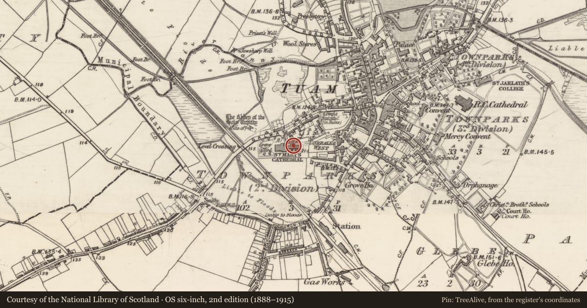 Ordnance Survey six-inch map, 2nd edition (1888–1915) covering the location of Cathedral, Townparks (2nd Division - Tuam), County Galway, with a pin at the register's coordinates