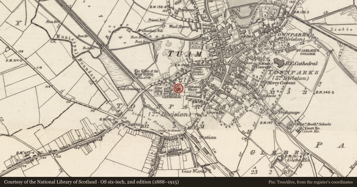 Ordnance Survey six-inch map, 2nd edition (1888–1915) covering the location of Cathedral, Townparks (2nd Division - Tuam), County Galway, with a pin at the register's coordinates
