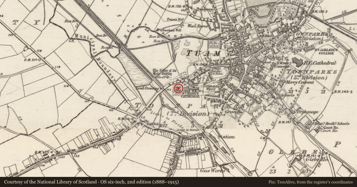 Ordnance Survey six-inch map, 2nd edition (1888–1915) covering the location of Graveyard, Townparks (2nd Division - Tuam), County Galway, with a pin at the register's coordinates
