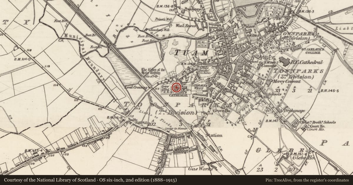 Ordnance Survey six-inch map, 2nd edition (1888–1915) covering the location of Cross - High cross, Townparks (2nd Division - Tuam), County Galway, with a pin at the register's coordinates