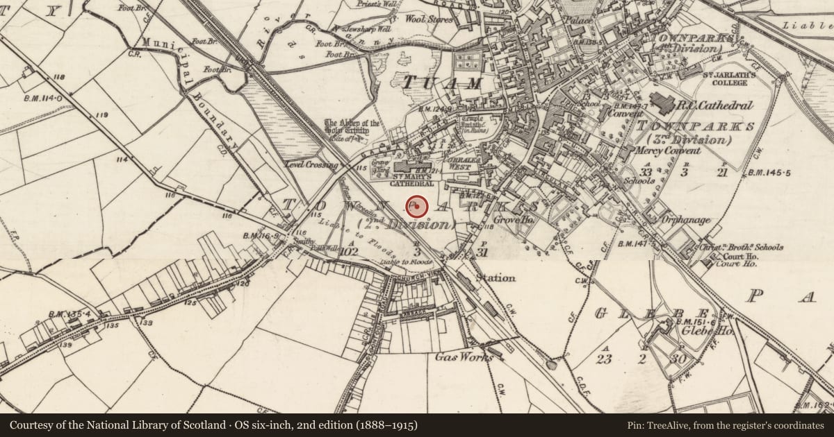Ordnance Survey six-inch map, 2nd edition (1888–1915) covering the location of Ecclesiastical enclosure, Townparks (2nd Division - Tuam), County Galway, with a pin at the register's coordinates