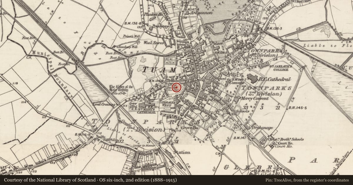 Ordnance Survey six-inch map, 2nd edition (1888–1915) covering the location of Graveyard, Townparks (2nd Division - Tuam), County Galway, with a pin at the register's coordinates