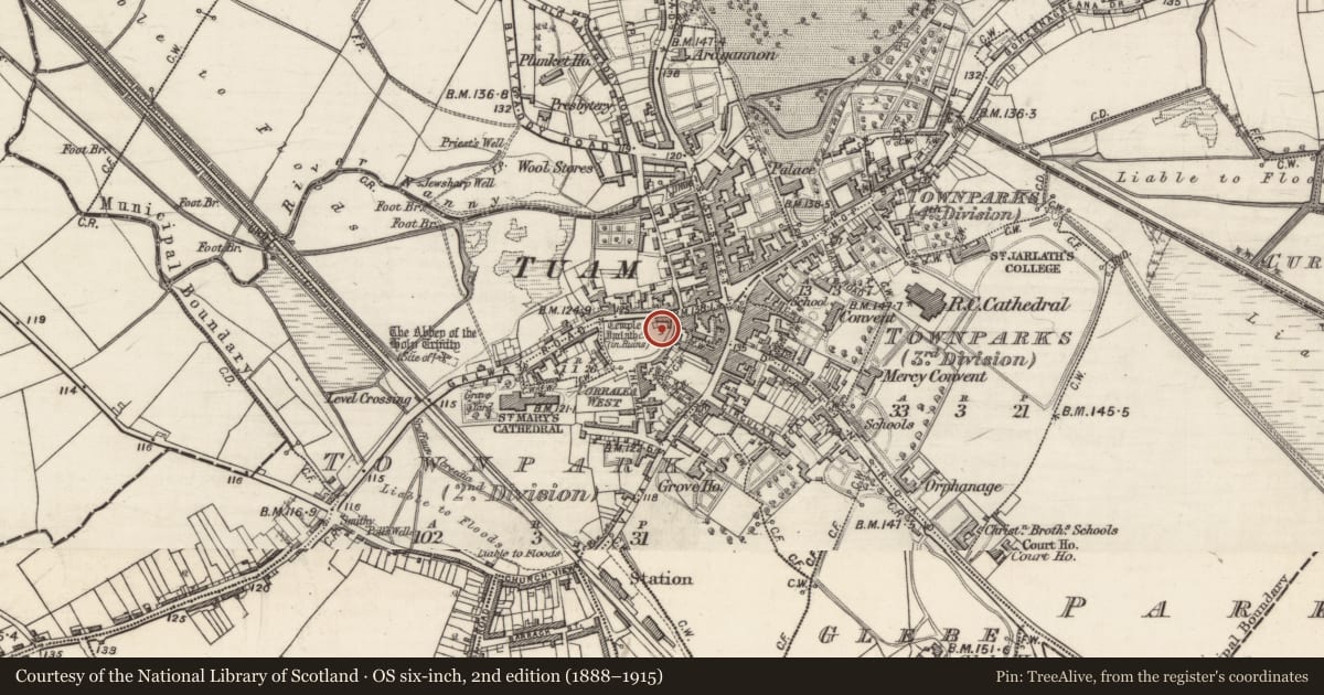Ordnance Survey six-inch map, 2nd edition (1888–1915) covering the location of Cross, Townparks (2nd Division - Tuam), County Galway, with a pin at the register's coordinates