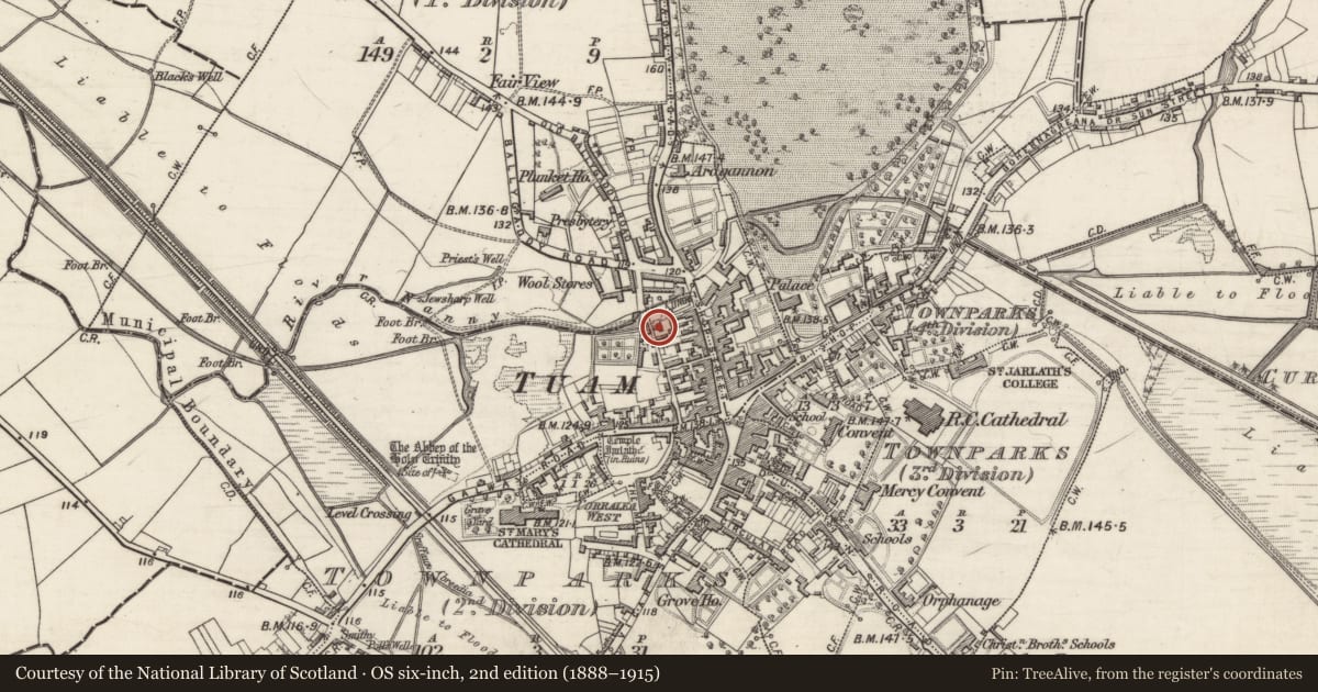 Ordnance Survey six-inch map, 2nd edition (1888–1915) covering the location of Water mill - vertical-wheeled, Townparks (2nd Division - Tuam), County Galway, with a pin at the register's coordinates