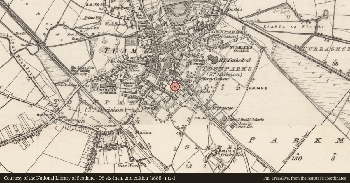 Ordnance Survey six-inch map, 2nd edition (1888–1915) covering the location of Cross - High cross, Townparks (3rd Division - Tuam), County Galway, with a pin at the register's coordinates