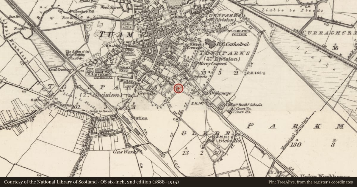 Ordnance Survey six-inch map, 2nd edition (1888–1915) covering the location of House - 18th/19th century, Townparks (3rd Division - Tuam), County Galway, with a pin at the register's coordinates