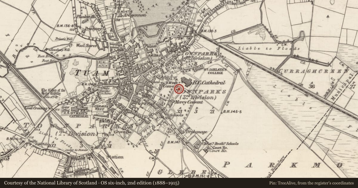Ordnance Survey six-inch map, 2nd edition (1888–1915) covering the location of Graveyard, Townparks (3rd Division - Tuam), County Galway, with a pin at the register's coordinates