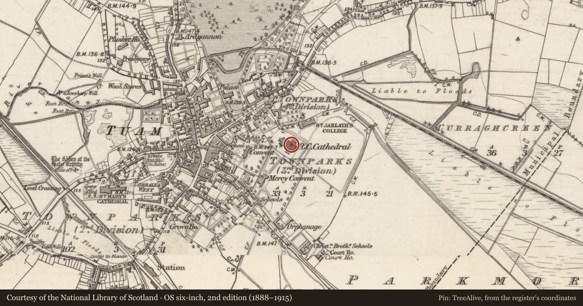 Ordnance Survey six-inch map, 2nd edition (1888–1915) covering the location of Cathedral, Townparks (3rd Division - Tuam), County Galway, with a pin at the register's coordinates