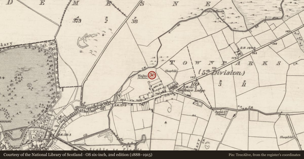 Ordnance Survey six-inch map, 2nd edition (1888–1915) covering the location of Windmill, Townparks (5th Division - Tuam), County Galway, with a pin at the register's coordinates