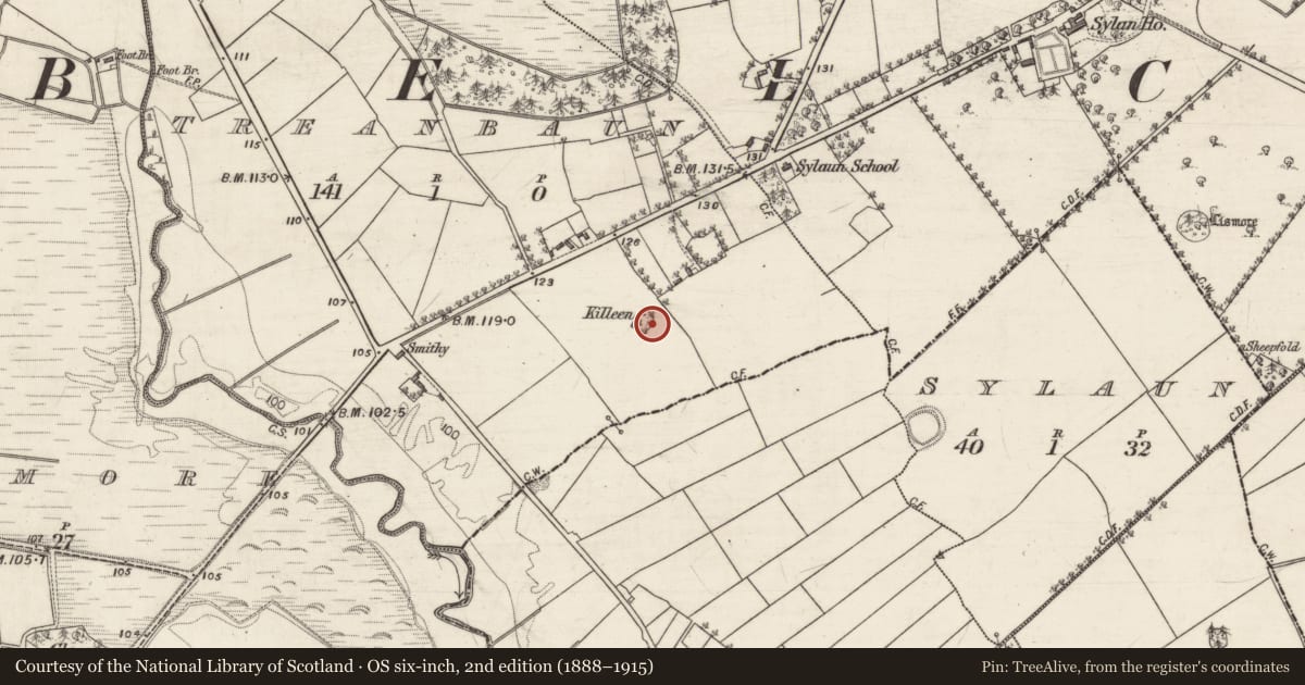 Ordnance Survey six-inch map, 2nd edition (1888–1915) covering the location of Children's burial ground, Treanbaun, County Galway, with a pin at the register's coordinates