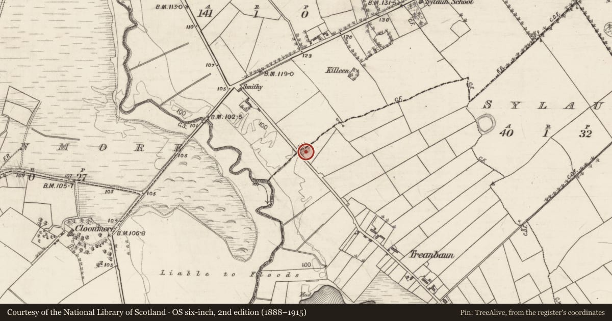 Ordnance Survey six-inch map, 2nd edition (1888–1915) covering the location of Quarry, Treanbaun, County Galway, with a pin at the register's coordinates