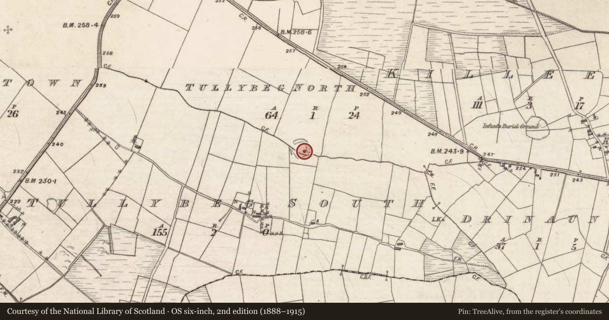 Ordnance Survey six-inch map, 2nd edition (1888–1915) covering the location of Ringfort - rath, Tullybeg North, Tullybeg South, County Galway, with a pin at the register's coordinates