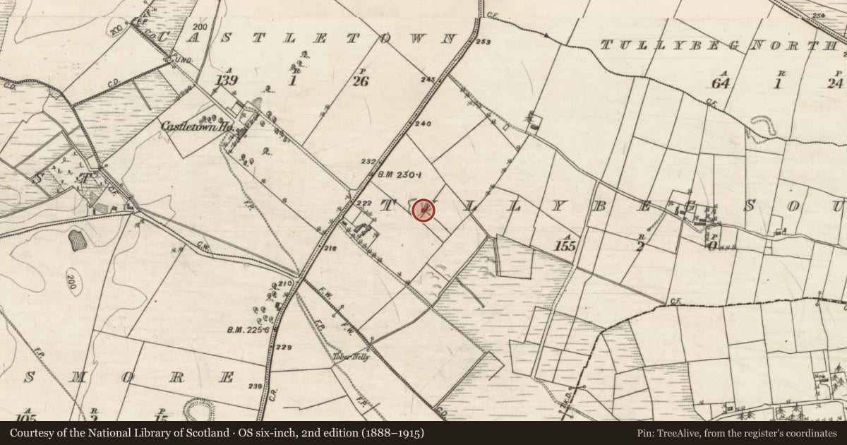 Ordnance Survey six-inch map, 2nd edition (1888–1915) covering the location of Enclosure, Tullybeg South, County Galway, with a pin at the register's coordinates