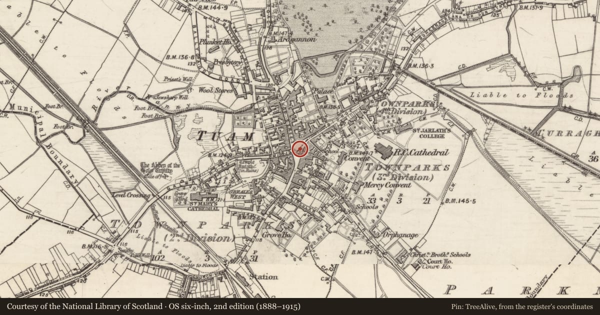 Ordnance Survey six-inch map, 2nd edition (1888–1915) covering the location of Historic town, County Galway, with a pin at the register's coordinates