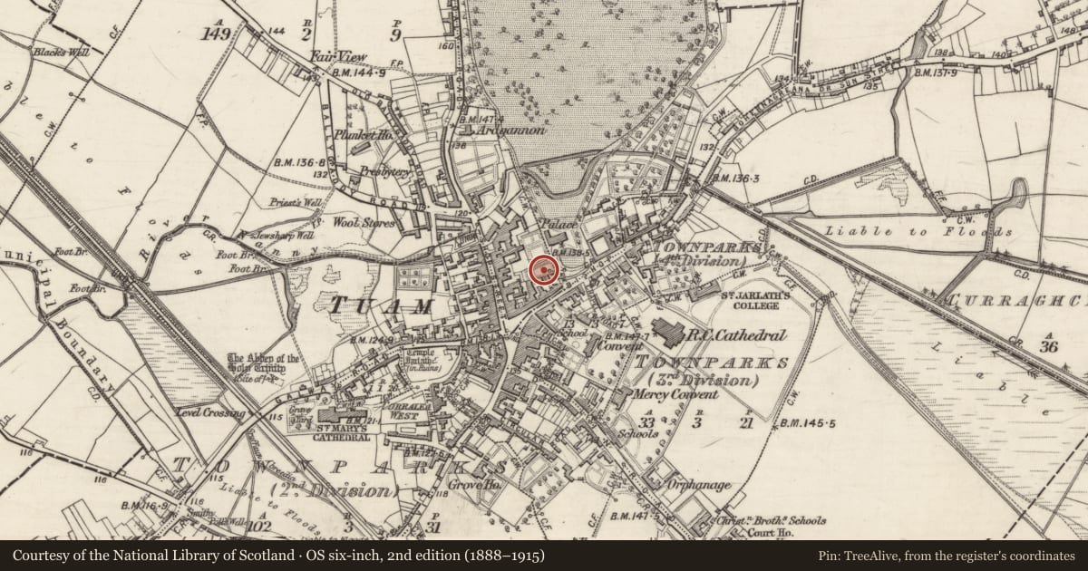 Ordnance Survey six-inch map, 2nd edition (1888–1915) covering the location of Burial mound, Townparks (1st Division - Tuam), County Galway, with a pin at the register's coordinates
