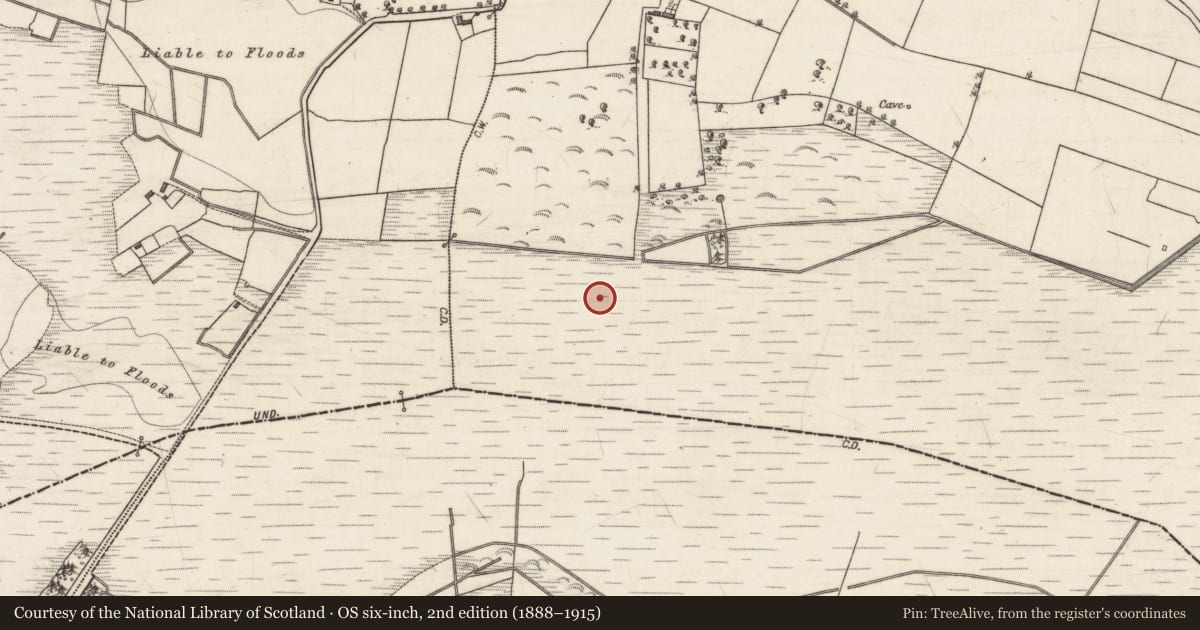 Ordnance Survey six-inch map, 2nd edition (1888–1915) covering the location of Road - class 1 togher, Mullagh, County Galway, with a pin at the register's coordinates