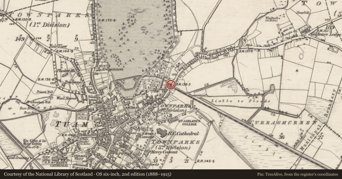 Ordnance Survey six-inch map, 2nd edition (1888–1915) covering the location of Memorial stone, Demesne, Townparks (5th Division - Tuam), County Galway, with a pin at the register's coordinates