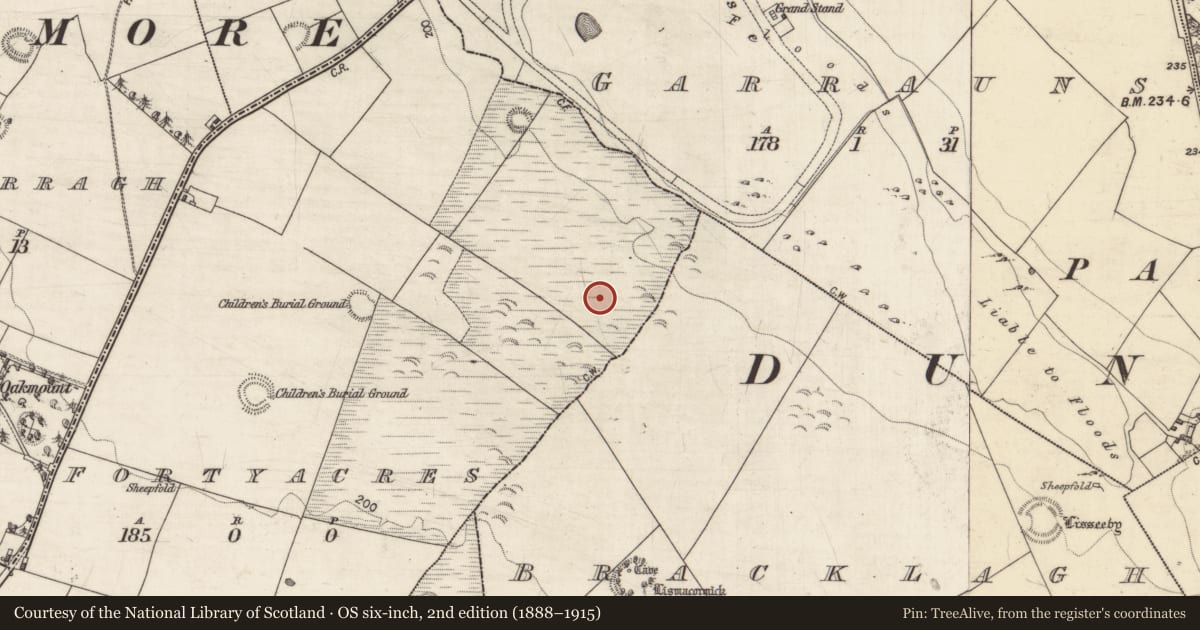 Ordnance Survey six-inch map, 2nd edition (1888–1915) covering the location of Enclosure, Fortyacres, County Galway, with a pin at the register's coordinates