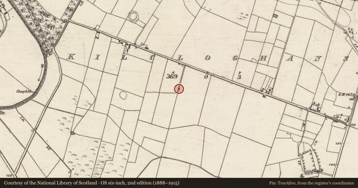 Ordnance Survey six-inch map, 2nd edition (1888–1915) covering the location of Ringfort - rath, Kilcloghans, County Galway, with a pin at the register's coordinates