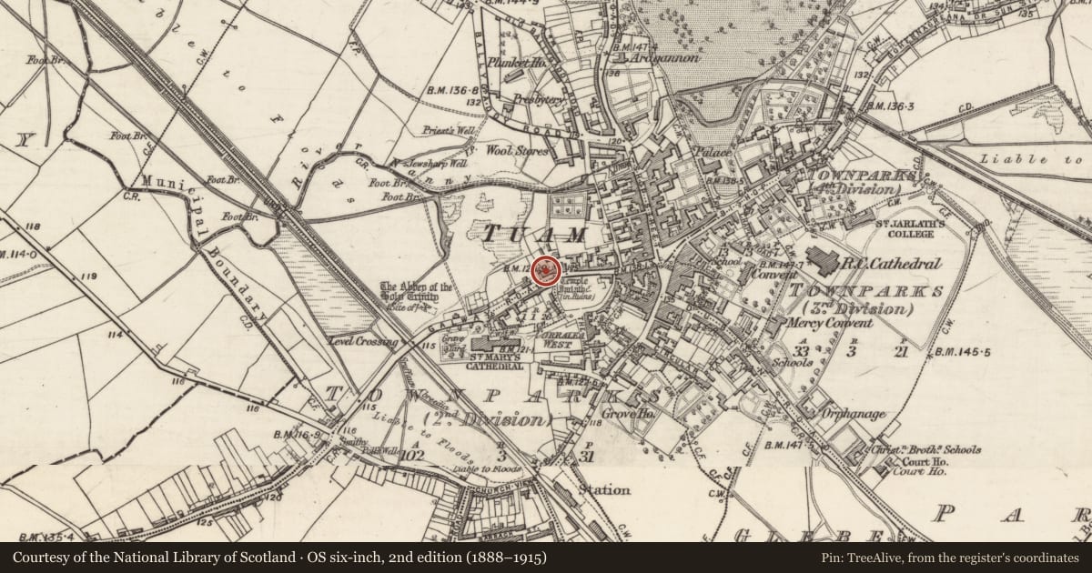 Ordnance Survey six-inch map, 2nd edition (1888–1915) covering the location of Kiln - pottery, Townparks (2nd Division - Tuam), County Galway, with a pin at the register's coordinates