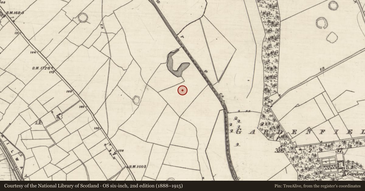 Ordnance Survey six-inch map, 2nd edition (1888–1915) covering the location of Burial, Pollacorragune, County Galway, with a pin at the register's coordinates
