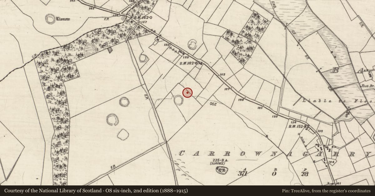 Ordnance Survey six-inch map, 2nd edition (1888–1915) covering the location of Ringfort - rath, Carrownagarry, County Galway, with a pin at the register's coordinates