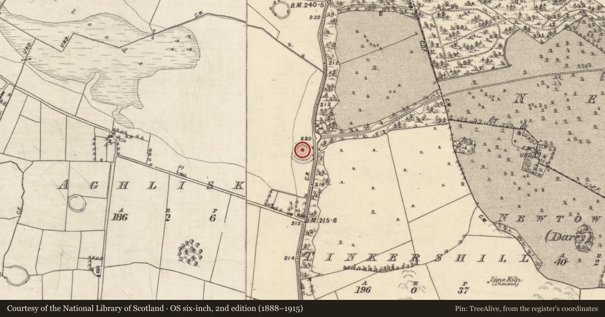 Ordnance Survey six-inch map, 2nd edition (1888–1915) covering the location of Ringfort - rath, Aghlisk, County Galway, with a pin at the register's coordinates