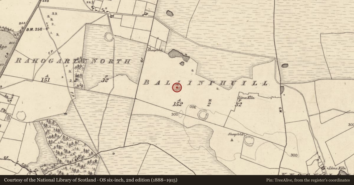 Ordnance Survey six-inch map, 2nd edition (1888–1915) covering the location of Ringfort - rath, Ballinphuill, County Galway, with a pin at the register's coordinates