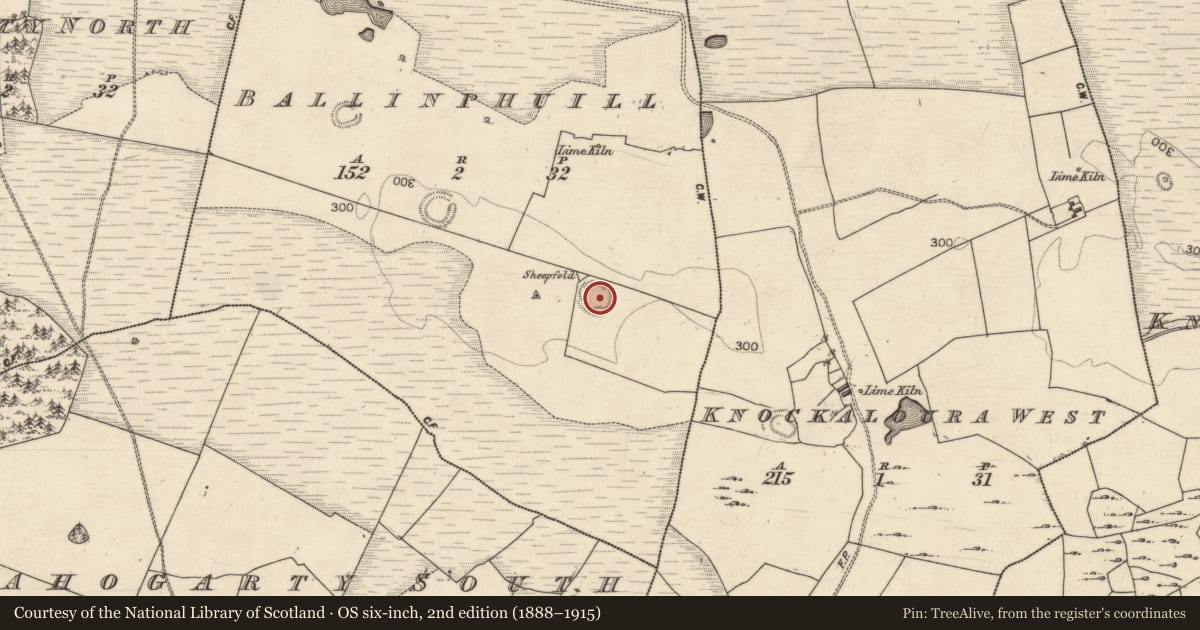 Ordnance Survey six-inch map, 2nd edition (1888–1915) covering the location of Ringfort - rath, Ballinphuill, County Galway, with a pin at the register's coordinates