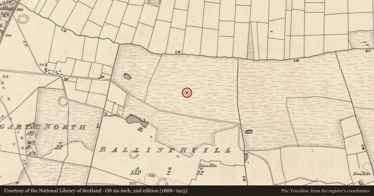 Ordnance Survey six-inch map, 2nd edition (1888–1915) covering the location of Ritual site - holy tree/bush, Ballinphuill, County Galway, with a pin at the register's coordinates