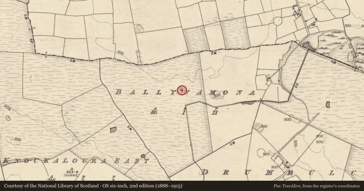 Ordnance Survey six-inch map, 2nd edition (1888–1915) covering the location of Ringfort - rath, Ballynamona, County Galway, with a pin at the register's coordinates