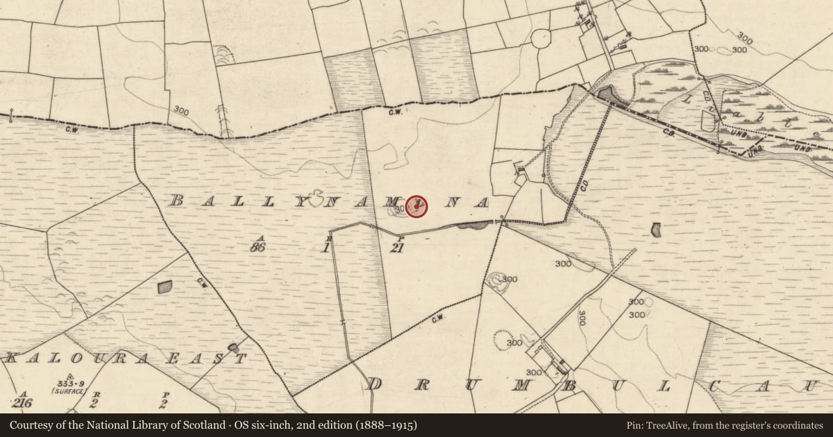 Ordnance Survey six-inch map, 2nd edition (1888–1915) covering the location of Ringfort - rath, Ballynamona, County Galway, with a pin at the register's coordinates
