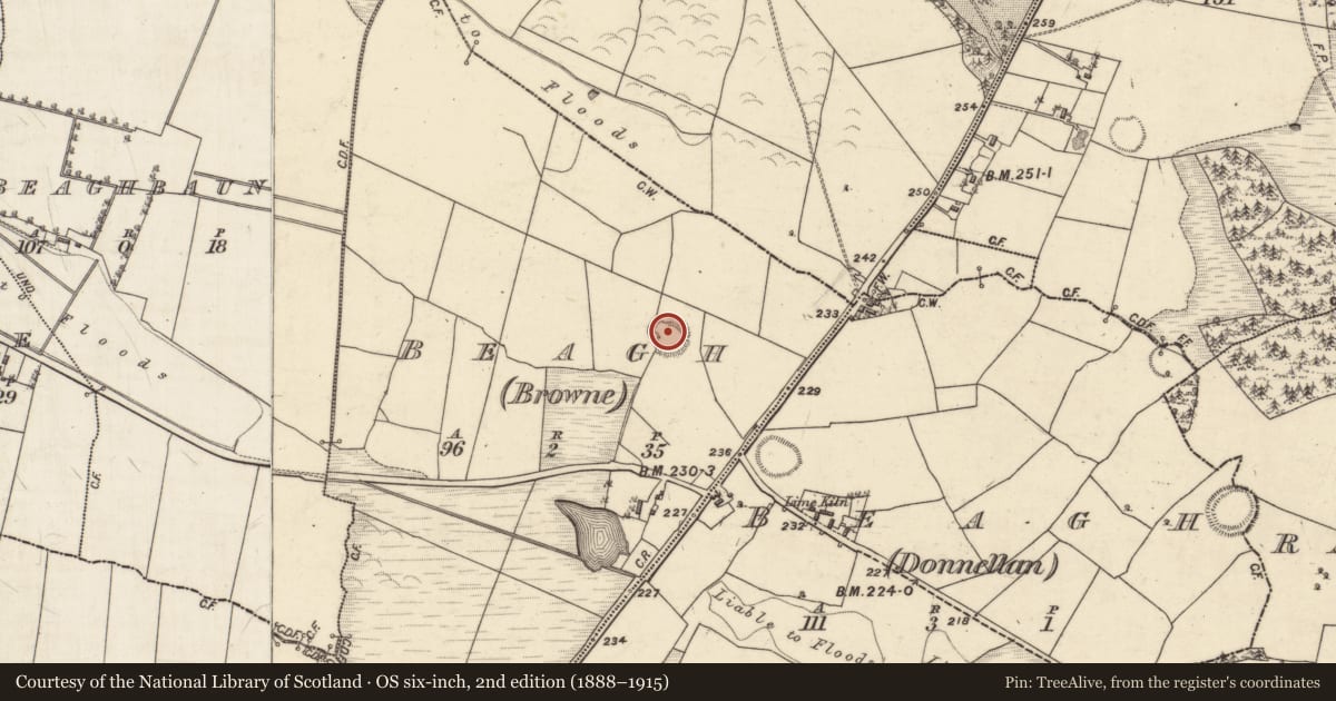 Ordnance Survey six-inch map, 2nd edition (1888–1915) covering the location of Ringfort - rath, Beagh (Browne), County Galway, with a pin at the register's coordinates