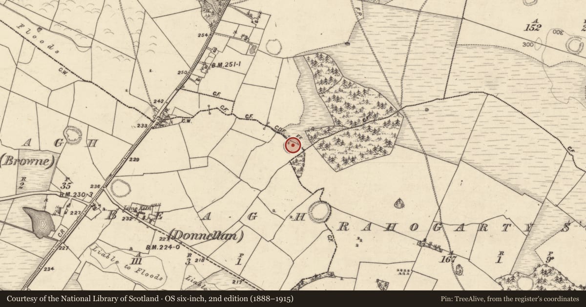 Ordnance Survey six-inch map, 2nd edition (1888–1915) covering the location of Ringfort - rath, Beagh (Donnellan), Rahogarty North, County Galway, with a pin at the register's coordinates