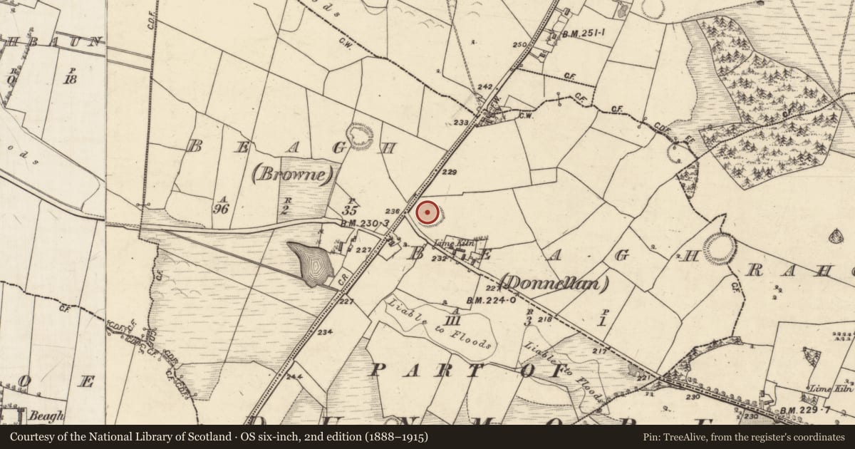 Ordnance Survey six-inch map, 2nd edition (1888–1915) covering the location of Ringfort - rath, Beagh (Donnellan), County Galway, with a pin at the register's coordinates