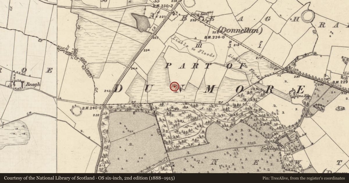 Ordnance Survey six-inch map, 2nd edition (1888–1915) covering the location of Enclosure, Beagh (Donnellan), County Galway, with a pin at the register's coordinates