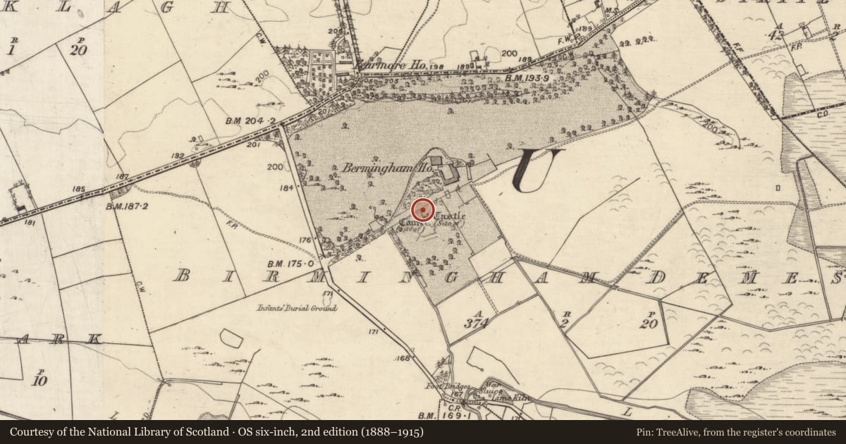 Ordnance Survey six-inch map, 2nd edition (1888–1915) covering the location of Castle - tower house, Birmingham Demesne, County Galway, with a pin at the register's coordinates