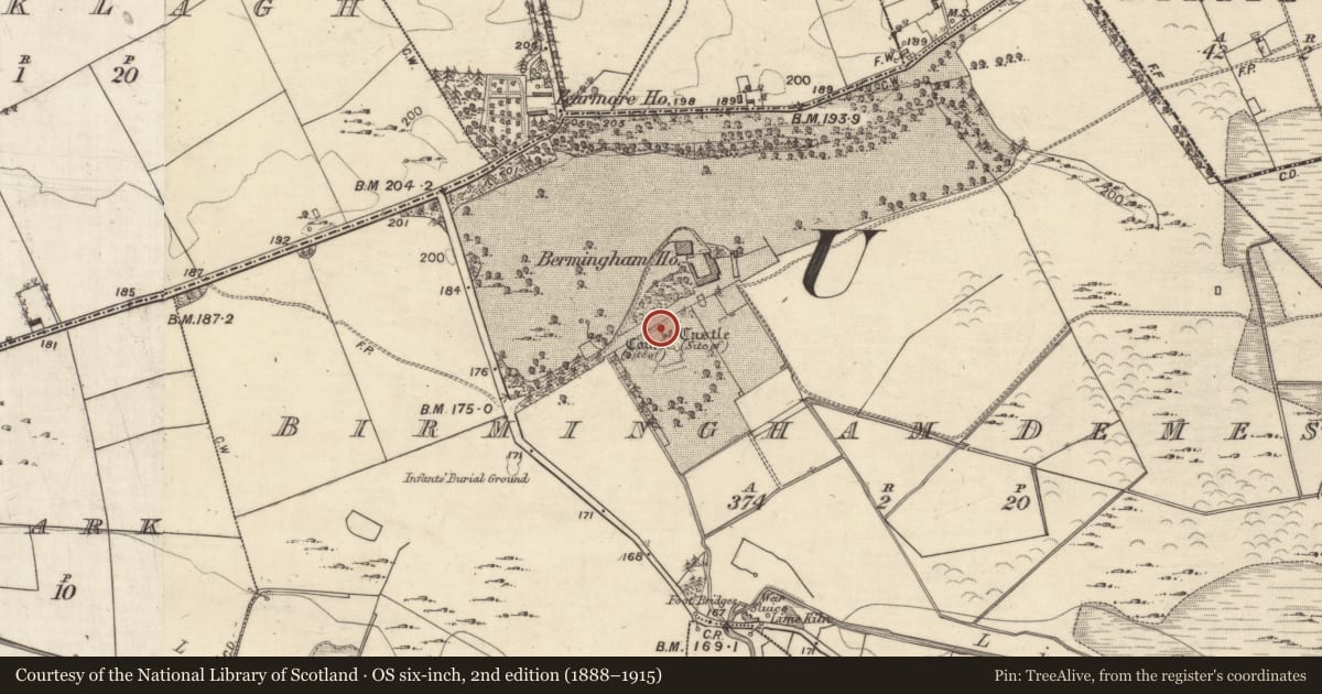 Ordnance Survey six-inch map, 2nd edition (1888–1915) covering the location of Bawn, Birmingham Demesne, County Galway, with a pin at the register's coordinates