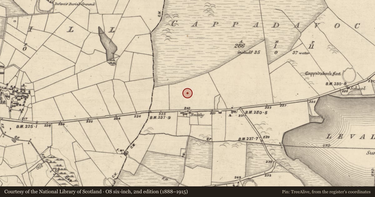 Ordnance Survey six-inch map, 2nd edition (1888–1915) covering the location of Enclosure, Cappadavock, County Galway, with a pin at the register's coordinates