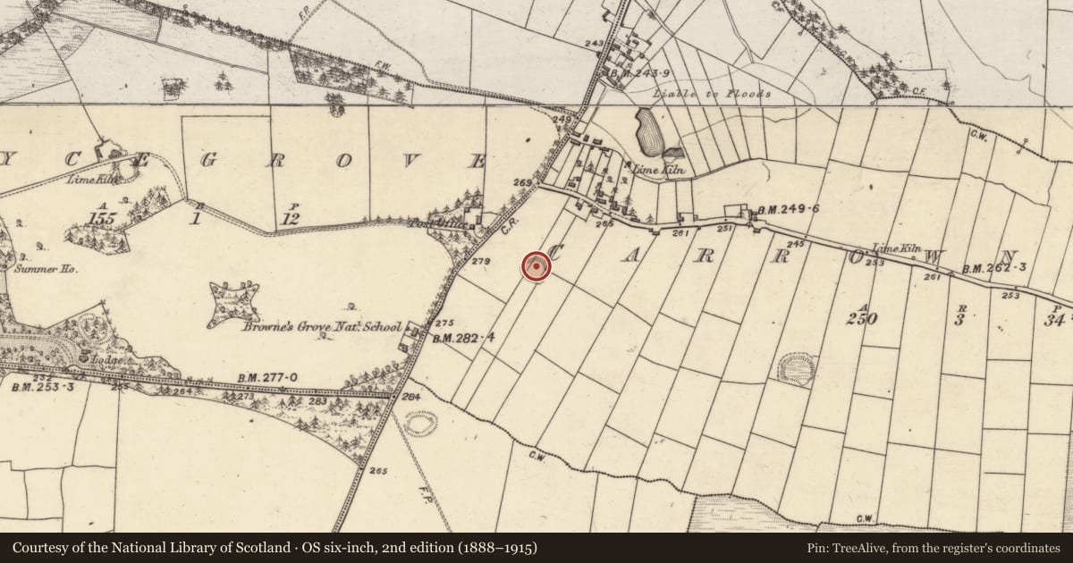 Ordnance Survey six-inch map, 2nd edition (1888–1915) covering the location of Ringfort - rath, Carrowntanlis, County Galway, with a pin at the register's coordinates