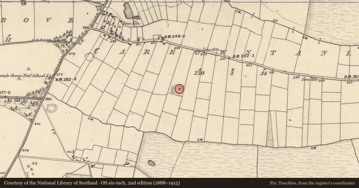 Ordnance Survey six-inch map, 2nd edition (1888–1915) covering the location of Ringfort - rath, Carrowntanlis, County Galway, with a pin at the register's coordinates