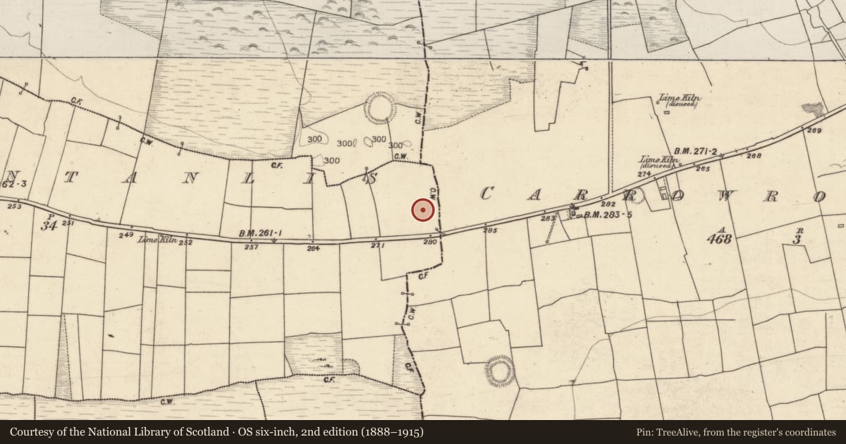 Ordnance Survey six-inch map, 2nd edition (1888–1915) covering the location of Cairn - unclassified, Carrowntanlis, County Galway, with a pin at the register's coordinates