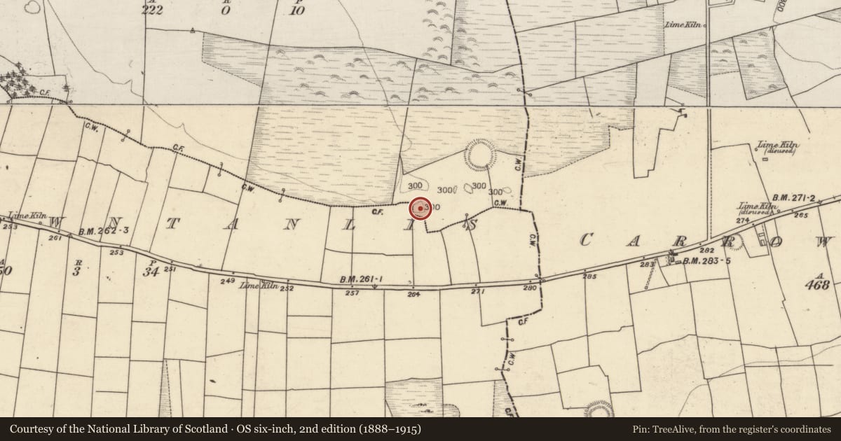 Ordnance Survey six-inch map, 2nd edition (1888–1915) covering the location of Enclosure, Carrowntanlis, Carrowrevagh More, County Galway, with a pin at the register's coordinates